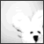 :icondollsteak: