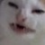 :icondollxpaulax3: