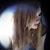 :icondolly-day-dream: