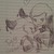 dolly-the-arctic-fox :icondolly-the-arctic-fox:
