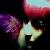 :icondolly-vita: