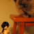 :icondollydelighted: