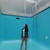 :icondollyhtorod: