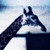 :icondollyshell: