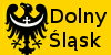 :icondolnyslask: