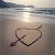 :icondolphinbeauty2009: