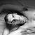 :icondom-the-bum: