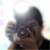 :icondom08: