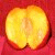 :icondomina-red: