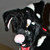 :icondominowuff: