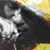 :icondomo9: