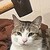 :icondomonater24: