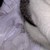 :icondomoplz3: