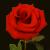 :icondomviola: