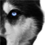 :icondonatt0:
