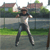 :icondondonn: