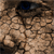 :icondone-to-death: