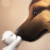 :icondoneecat11: