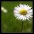 :icondonker: