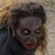 DonLechu :icondonlechu: