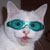 :iconDonnie666: