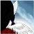 :icondono-konekos-pup: