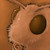 :icondonrondo:
