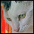 :icondonster: