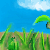:icondont-fear-the-raptor: