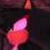 :icondont-touch-it: