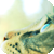 :icondontfreaknow: