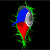 :icondontgiveabiip: