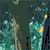 :icondonthitmeplz:
