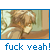 :icondonutmastr: