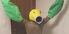 :icondoodle-squad: