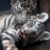 :icondoodlebug9901: