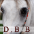 :icondoodlebugbandit: