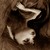 :icondoodledorkchick: