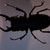 :icondoodlelist: