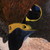:icondoodleofdeath: