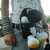 :icondooidao: