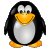 :icondoolin: