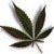 :icondoom1690:
