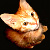 :icondoombee07: