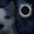 :icondoomedconcept:
