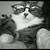 :icondoominowskiy: