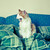 :icondopeca: