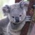 :icondopey-dot: