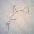 :icondoppelgangrel: