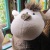 :icondoraechi: